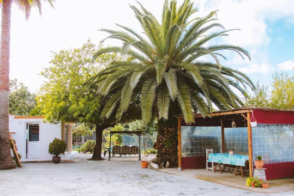 Casita Gopal Villa Icod De Los Vinos Ngoại thất bức ảnh