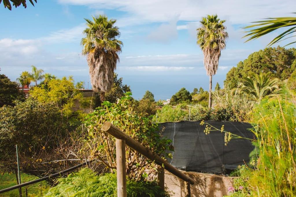 Casita Gopal Villa Icod De Los Vinos Ngoại thất bức ảnh